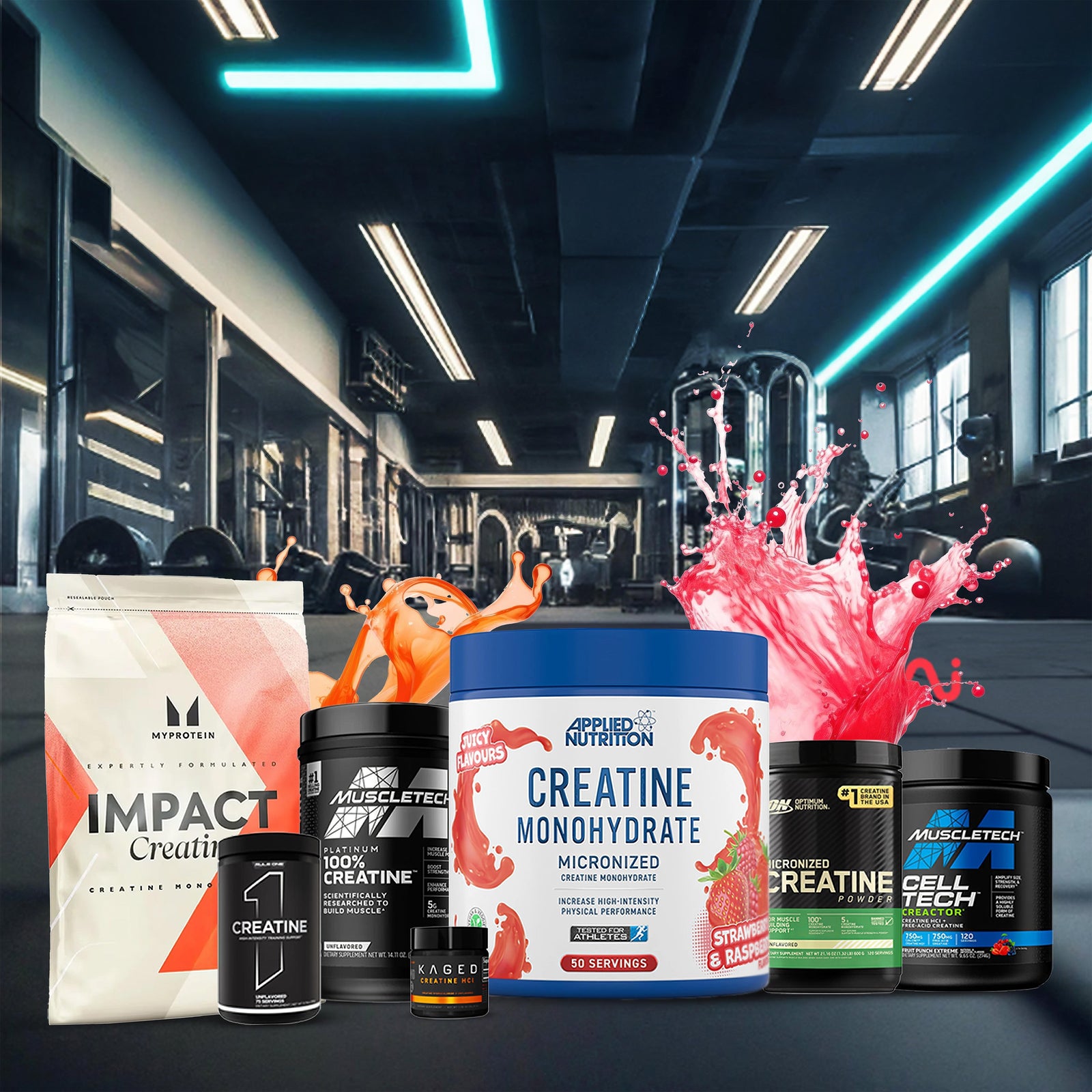 creatine collection - gym supplements u.s  