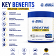 Applied Nutrition Creatine + Peptides 222g key benefits with 5g creatine, performance support, recovery support and strength support