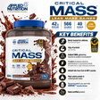 Applied Nutrition Critical Mass Professional Chocolate Lean Mass Gainer 2.4kg with 42g protein and 566 calories per serving